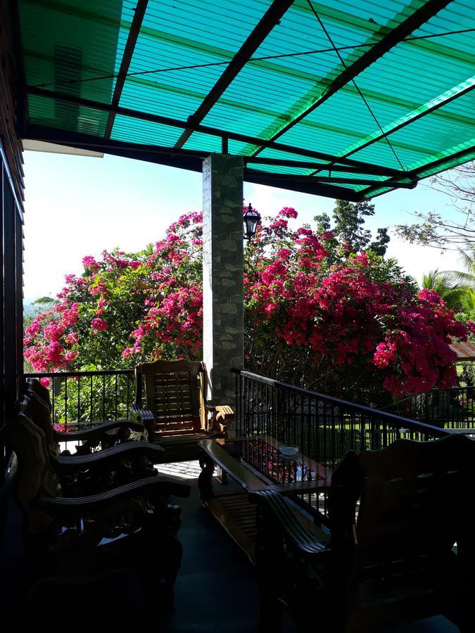 Villa Del Carmen Haven Bohol Ngoại thất bức ảnh
