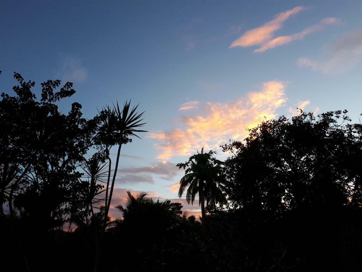 Villa Del Carmen Haven Bohol Ngoại thất bức ảnh