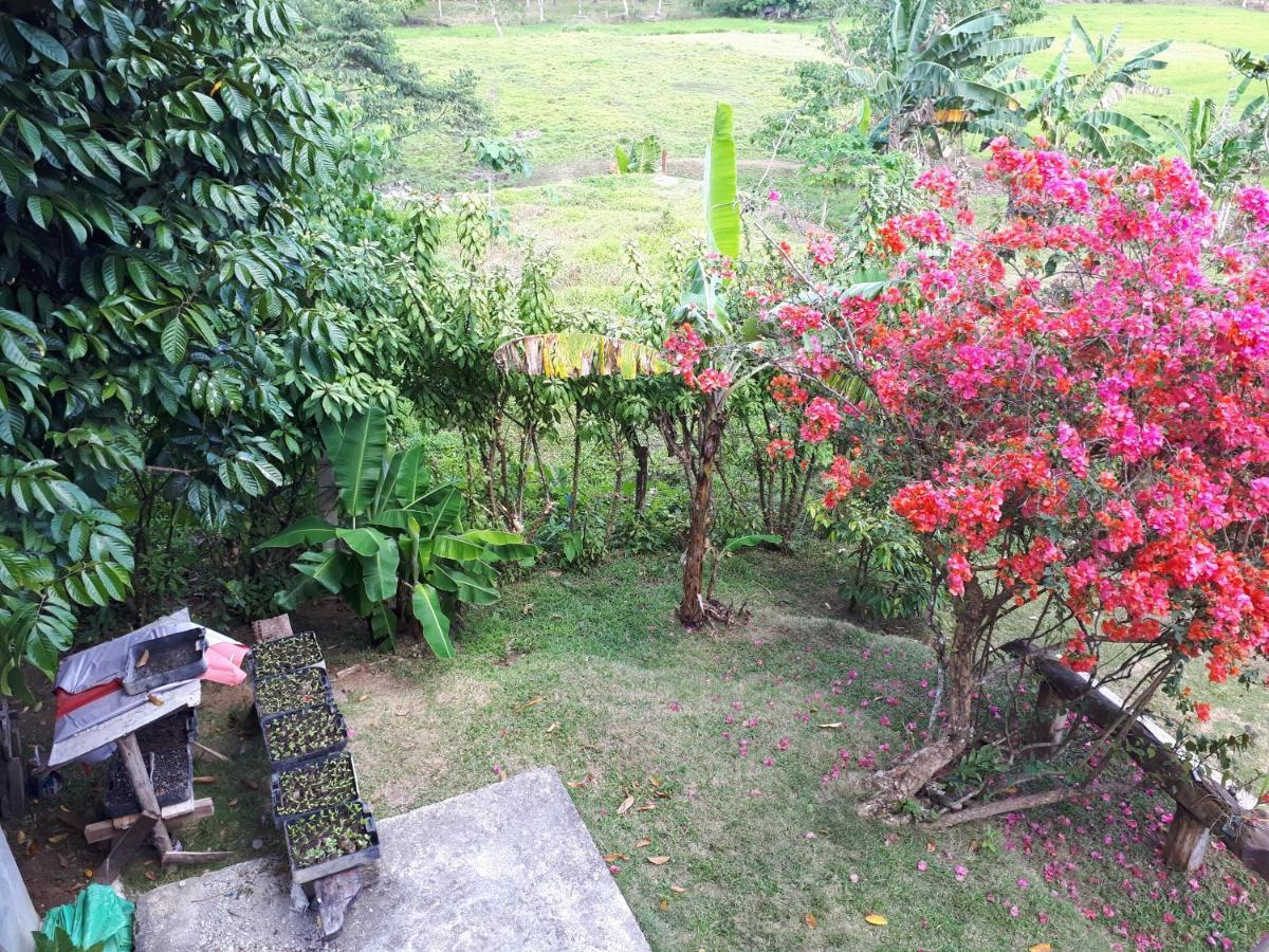 Villa Del Carmen Haven Bohol Ngoại thất bức ảnh